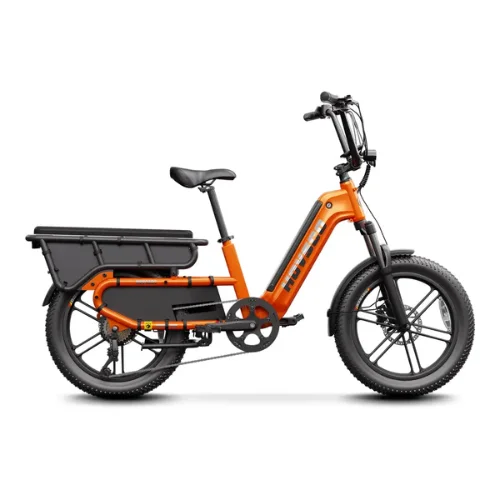 HOVSCO HovCart Family E-Bike